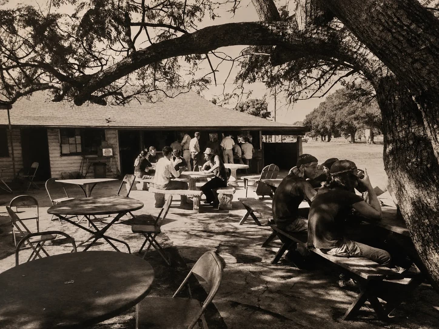 Sepia-toned image of people seated at courtyard tables beneath a large tree.